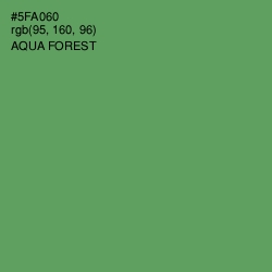 #5FA060 - Aqua Forest Color Image